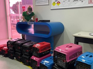 Aves sem condição de voltar à natureza são enviadas para criadouros autorizados