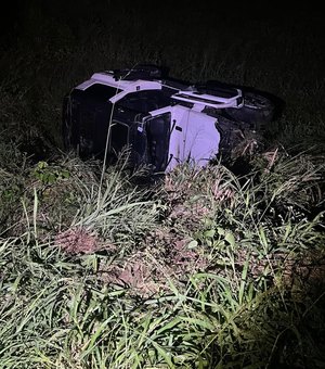 [Vídeo] Grave acidente é registrado na AL-220 em Batalha após colisão com animal na pista