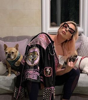 Roubados em Hollywood, cães de Lady Gaga são devolvidos à cantora