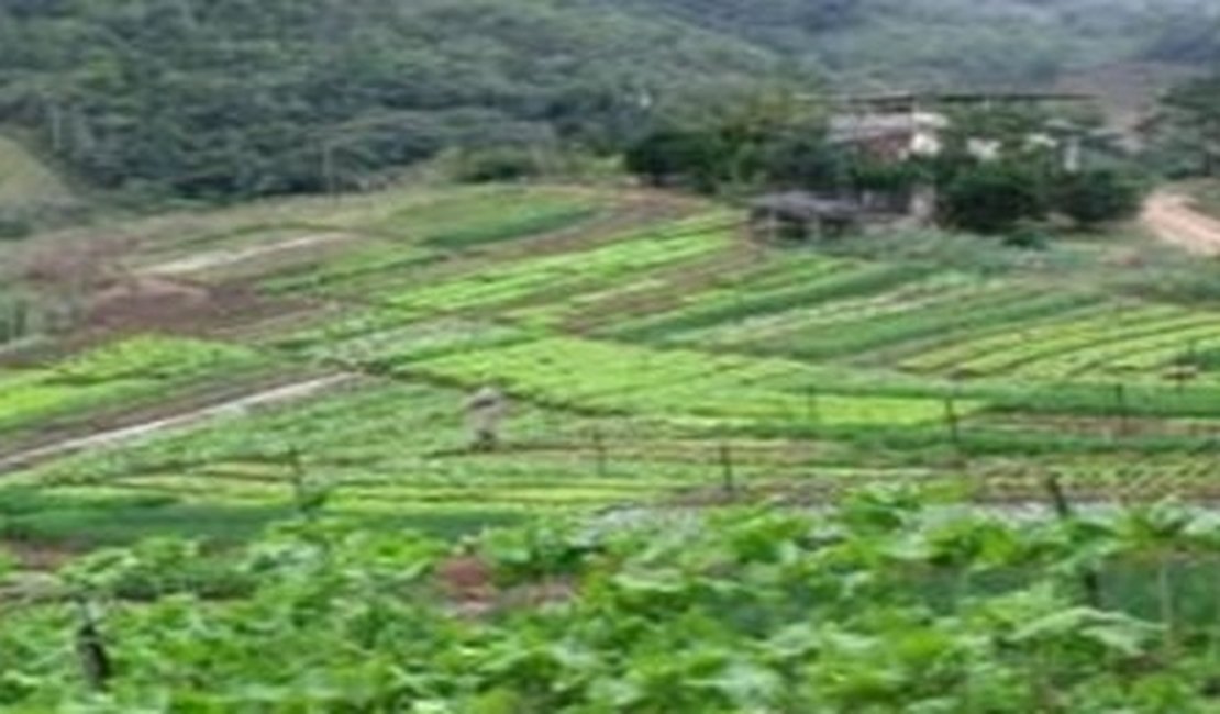 Governo sanciona lei que facilita vida do agricultor alagoano