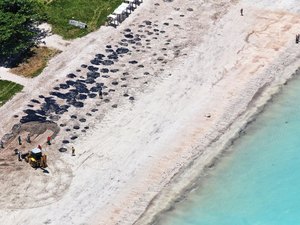 Vazamento de óleo em praias do Nordeste ainda é mistério para autoridades