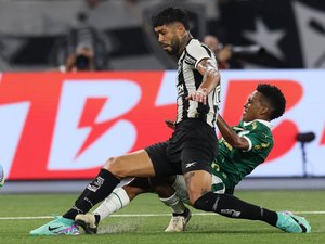 Palmeiras x Botafogo, Champions e mais: onde assistir aos jogos desta terça (26)