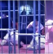 Urso de 200 quilos ataca treinador em circo chinês