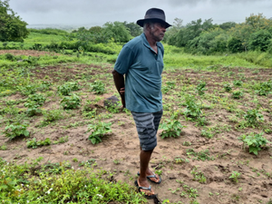 FPI denuncia: falta de terra leva quilombolas a plantar em lixão no Sertão