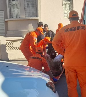 Mulher tenta salvar gato e fica ferida após cair em bueiro no Bairro Ribeira em Palmeira