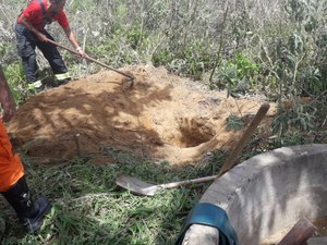 Ossada é encontrada pela polícia em Penedo