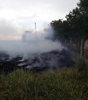 Bombeiros são acionados para incêndio em vegetação na cidade de Arapiraca