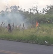 Em oito horas, cidades alagoanas registram sete incêndios em vegetação