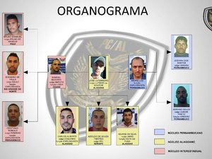 Deic aponta que mortos na Cavalo de Troia se dividiam em núcleos 