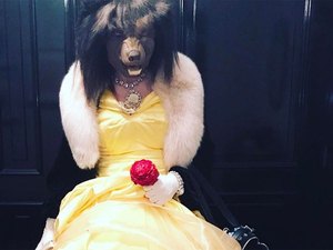 Mundo Disney: Madonna se veste de Fera em homenagem a filme 
