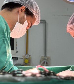 HGE inicia o fim de semana realizando captação de dois rins e um fígado para transplante