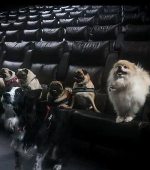 Cinema do Arapiraca Garden Shopping cria sessões petfriendly para humanos e seus pet neste sábado (15)
