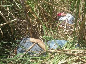 Dois corpos são encontrados em canavial com requintes de crueldade