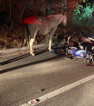 Motociclista morre após colidir em cavalo na cidade de Santana do Ipanema