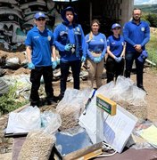 Polícia Científica coleta ração comercial em investigação sobre mortes de equinos