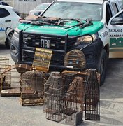 Polícia Militar apreende sete armas, armadilhas e aves silvestres em Matriz do Camaragibe