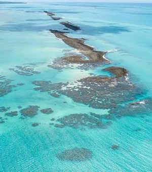 Ampliação da APA Costa dos Corais beneficia ecossistema e comunidade pesqueira tradicional de Alagoas