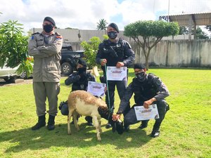 Guarnições de destaque são homenageadas pelo 11º Batalhão de Polícia Militar