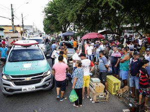 FPI flagra venda irregular de aves silvestres na feira de Arapiraca 