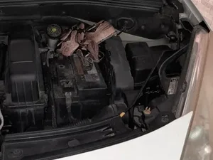 Casal de argentinos encontra jiboia no motor do carro e polícia é acionada em Maceió