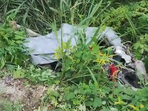 Motociclista morre após colidir com animal solto em trecho da rodovia AL-430