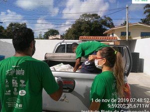 Animais encontrados em praias alagoas dever ser submetidos a perícia em Brasília 