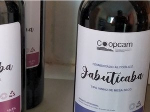 [Vídeo] Vinho de Jabuticaba leva renda e destaque a produtores da região Serrana de Palmeira dos Índios