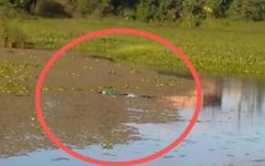 Corpo foi encontrado boiando em lago de Porto Calvo