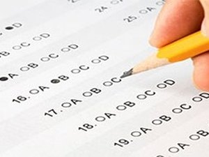 TRE/AL inicia seleção de estágio para diversas áreas