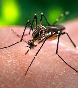 Saiba como o Zika Vírus também pode ser transmitido por relação sexual