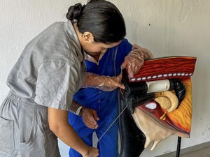 Curso de Inseminação Artificial capacitou mais de 120 alunos em 2024