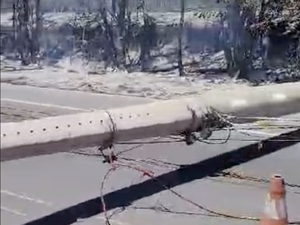 [Vídeo] Incêndio em vegetação atinge postes e interdita trecho da AL-101 Norte, em Maceió