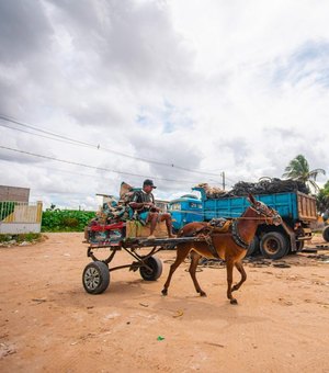 Prefeitura de Arapiraca convoca carroceiros para realizar cadastro obrigatório
