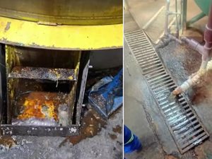Imagens mostram inspeção sanitária realizada na fábrica da Ypê