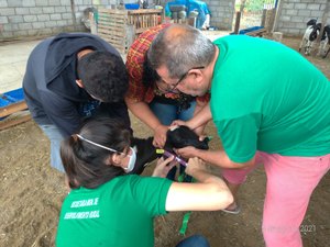 Programas de assistência técnica beneficiam pequenos e médios criadores em Arapiraca
