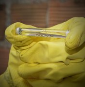 Alagoas lança plano para combater dengue, chikungunya e zika em 2026