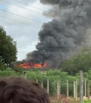 Incêndio atinge galpão de avícola, em Arapiraca