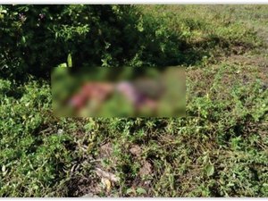 Suposto estuprador é encontrado morto