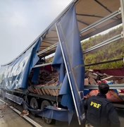 Carga de café tomba de carreta e produtos são saqueados na rodovia BR-101