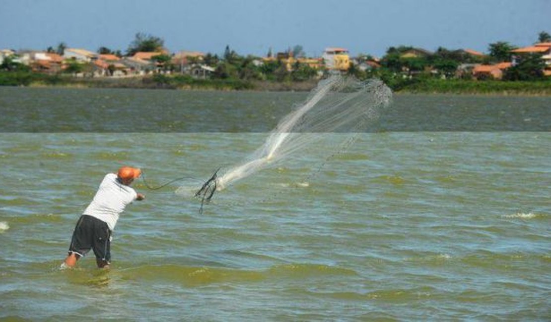 Operação de combate à pesca irregular apreende 200 kg de camarão em Maceió e Região Metropolitana