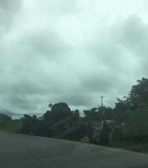 Caminhão cai em vala e tomba na BR 316, em Pilar