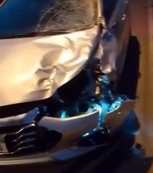 Acidente com animal solto volta a preocupar motoristas em Delmiro Gouveia