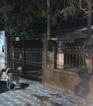 Moradores denunciam cães abandonados em residência na Avenida Norte, em Arapiraca