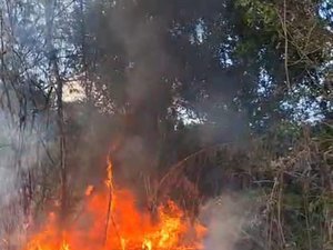 [VÍDEO] Carro pega fogo na zona rural de Passo de Camaragibe