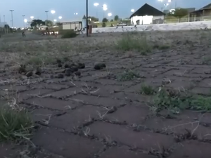 Lago da Perucaba: outrora cartão postal está abandonado pelo poder público