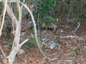 [Vídeo] Corpo de homem é encontrado sem a cabeça em matagal no Benedito Bentes