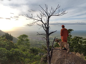 Bombeiros alagoanos e cães farejadores vão ajudar no resgate as vítimas em Petrópolis