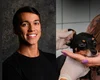 Deputado Delegado Leonam propõe isentar abrigos de animais de conta de luz
