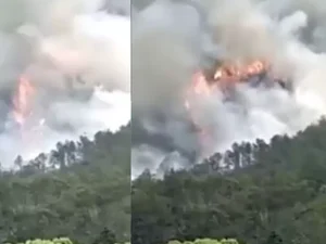 Avião que fazia voo doméstico na China cai com 132 pessoas a bordo