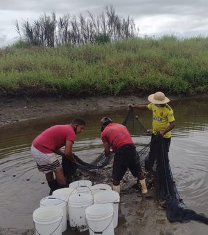 Arapiraca incentiva piscicultura com o povoamento de 3 mil juvenis de tambaqui na Zona Rural